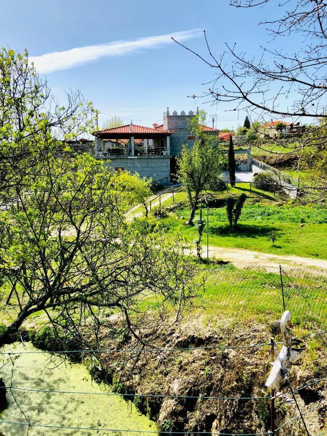 Casa da Quinta da Prelada Simão Vila Celorico De Basto Exterior foto